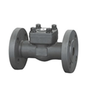 法(fǎ)蘭端止回閥 法蘭端止回閥