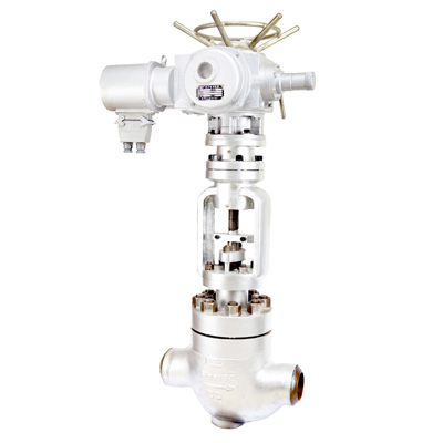 向空排汽閥 向空排汽閥