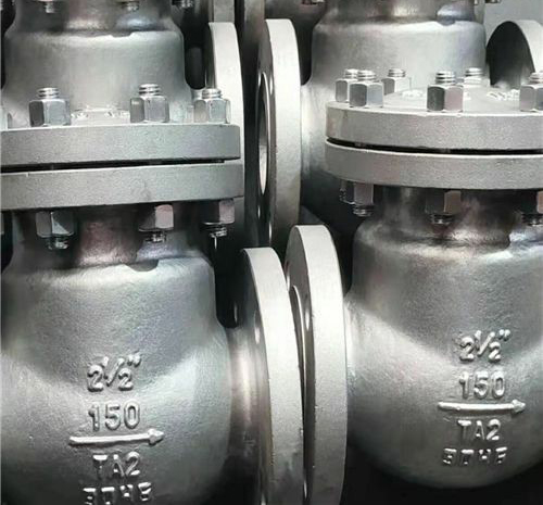 鈦合(hé)金止回閥 鈦合金止(zhǐ)回閥