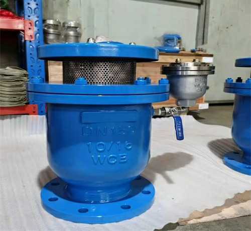 卷簾式複合(hé)排氣閥 卷簾式複(fù)合排(pái)氣閥